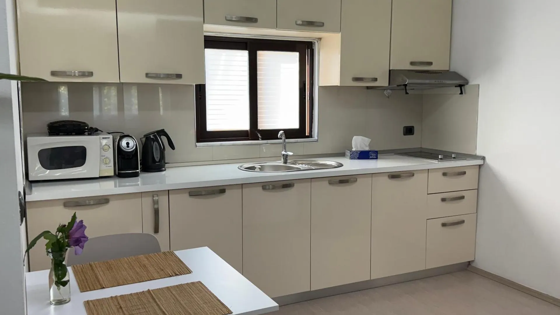 An Apartment With Fireplace Tirana Albania